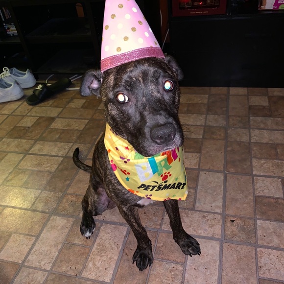 Meet your Posher, Kevin - Picture 1 of 1